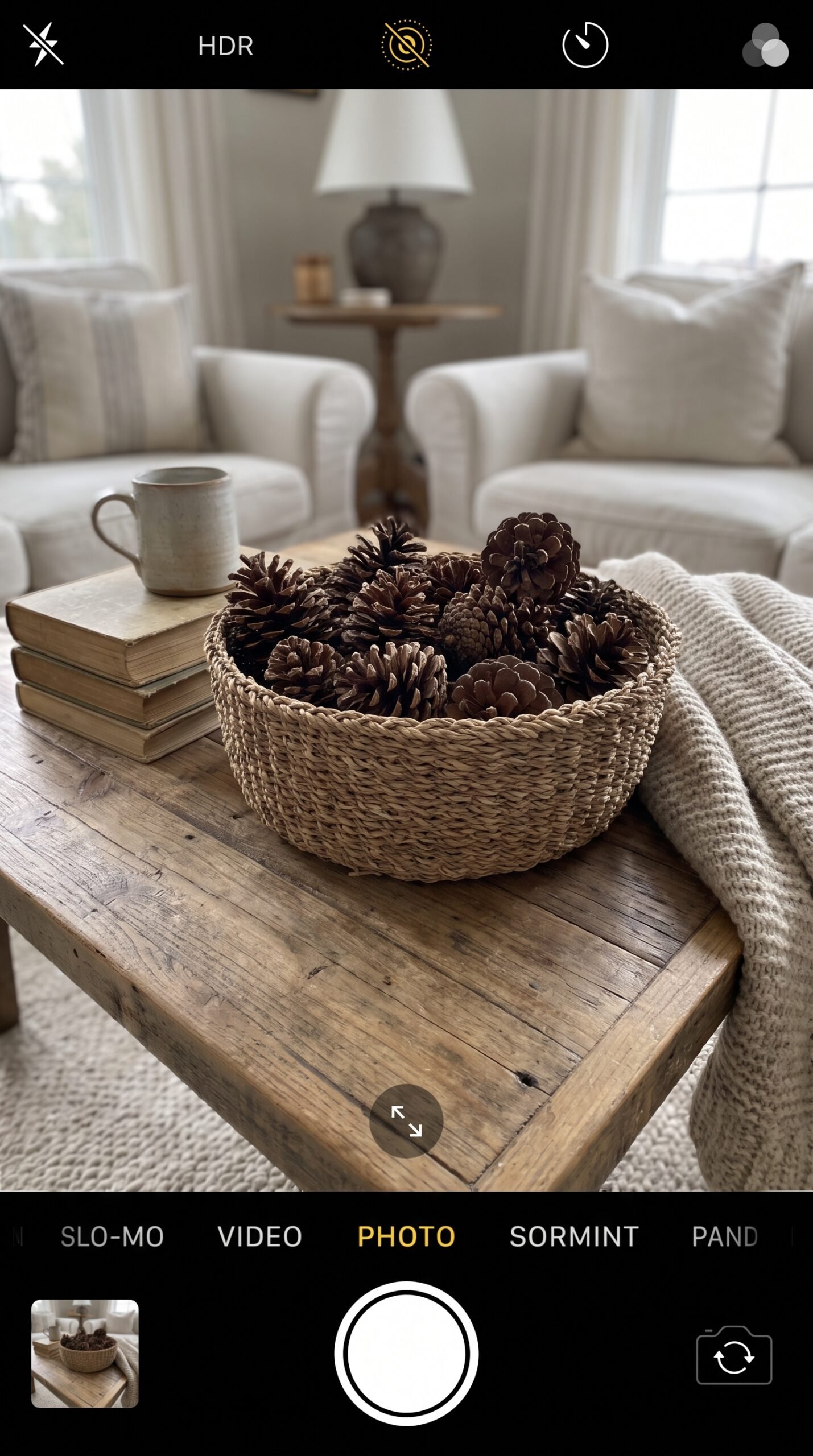 woven bowl filled with pinecones on a coffee table